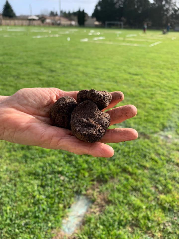 Truffes Concours