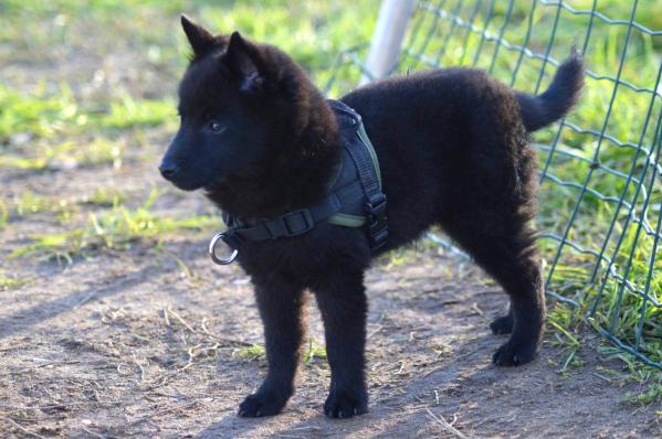 Lequel des Grandes Voies 3 mois