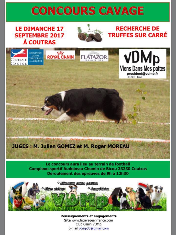 Affiche cavage