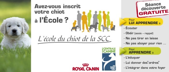 Ima ecole du chiot royal canin